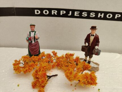 Foto 6 Struikjes Oranje