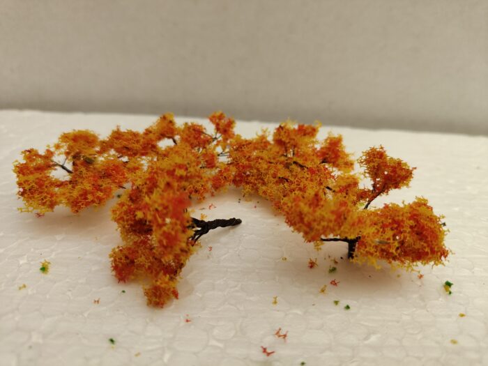 Foto 6 Struikjes Oranje - Afbeelding 3