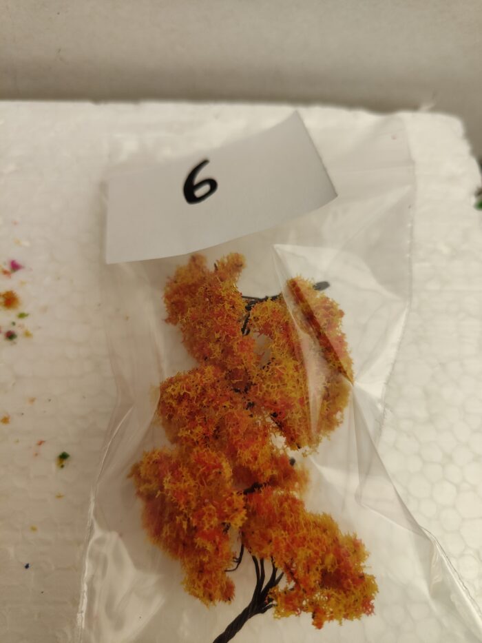 Foto 6 Struikjes Oranje - Afbeelding 2