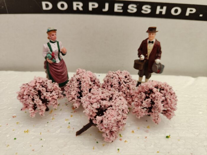 IMG20220508121627 Foto 7 Struikjes hang Rose - Afbeelding 1