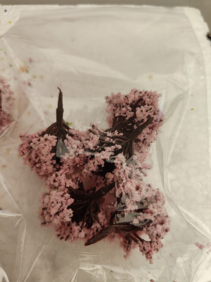 Foto 7 Struikjes hang Rose - Afbeelding 3