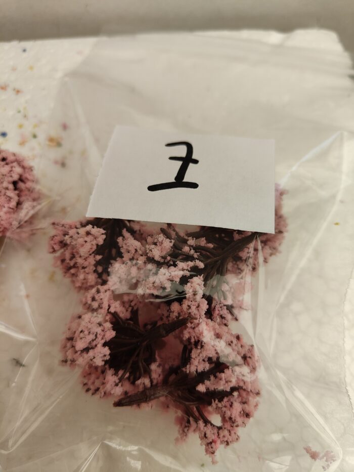 Foto 7 Struikjes hang Rose - Afbeelding 4