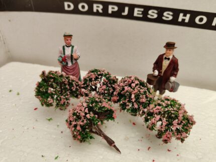 Foto 9 Struikjes Groen/ Rose