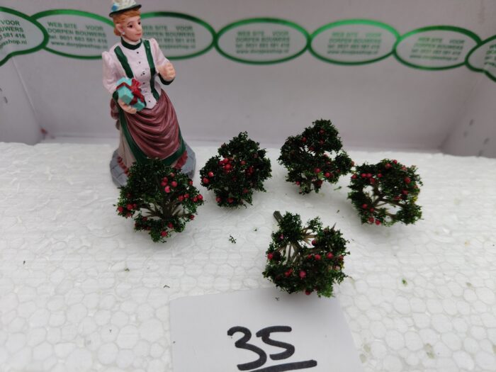 Foto 35 Struikje bessen - Afbeelding 2