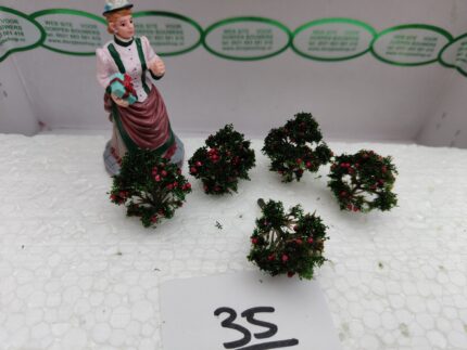 Foto 35 Struikje bessen