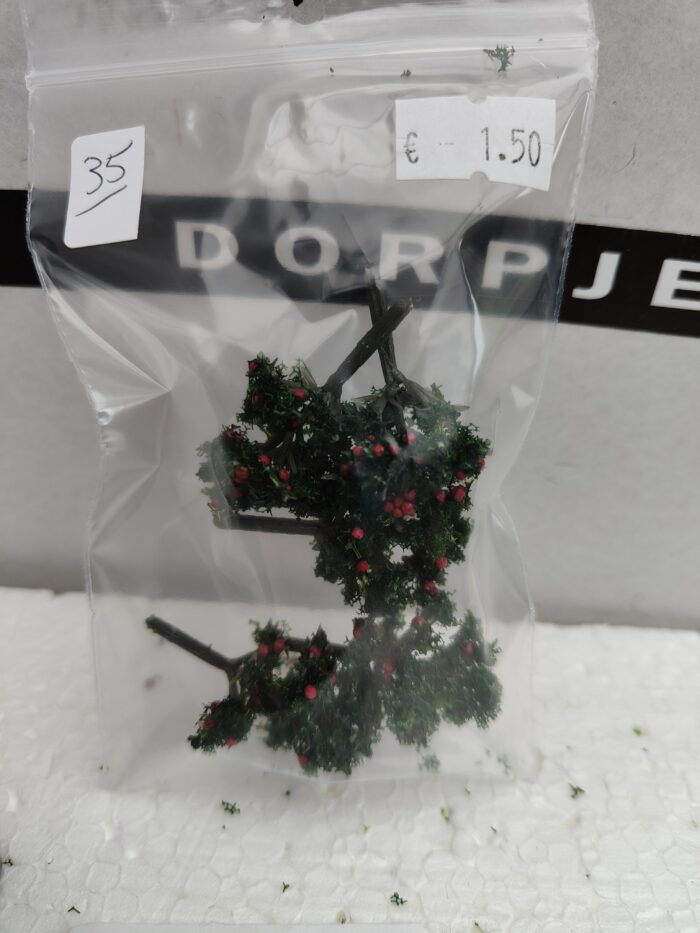 Foto 35 Struikje bessen - Afbeelding 3