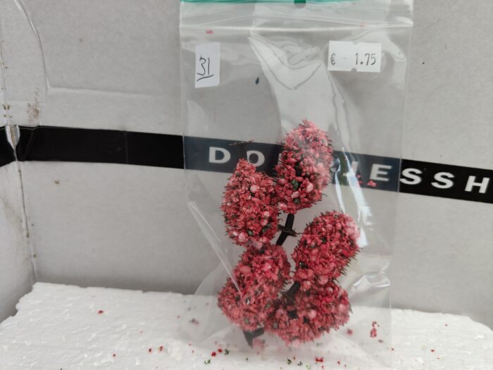 IMG20220528183039 Foto 31 Bloesem boom klein - Afbeelding 1