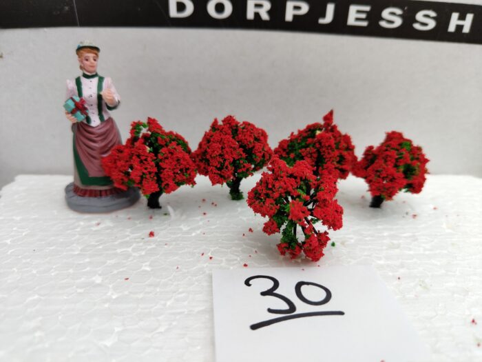 IMG20220528183354 Foto 30 Struikjes Groen/ Rood - Afbeelding 1