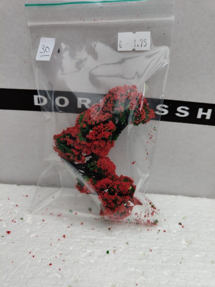 Foto 30 Struikjes Groen/ Rood - Afbeelding 3