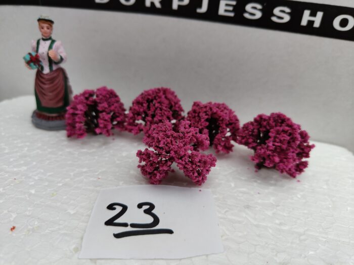 IMG20220528184857 Foto 23 Struikjes hang  donker Rose - Afbeelding 2