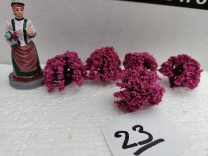 Foto 23 Struikjes hang  donker Rose