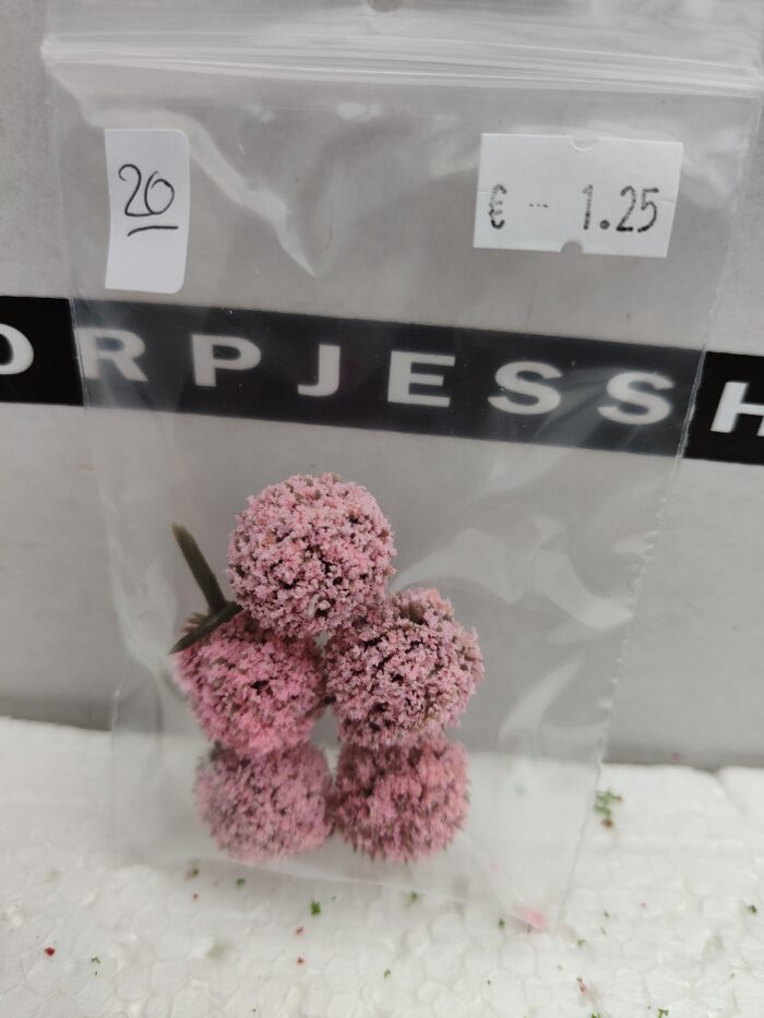 Foto 20 Bloembolletjes Rose - Afbeelding 3