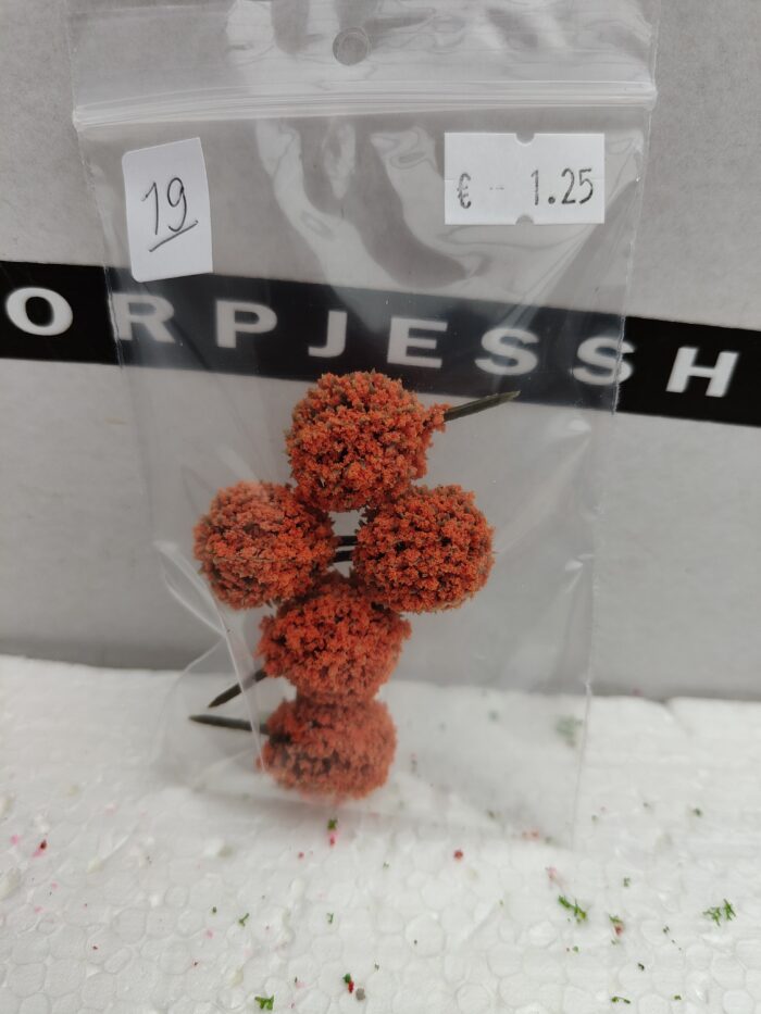 Foto 19 Bloembolletjes Orange - Afbeelding 3