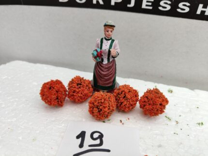 Foto 19 Bloembolletjes Orange