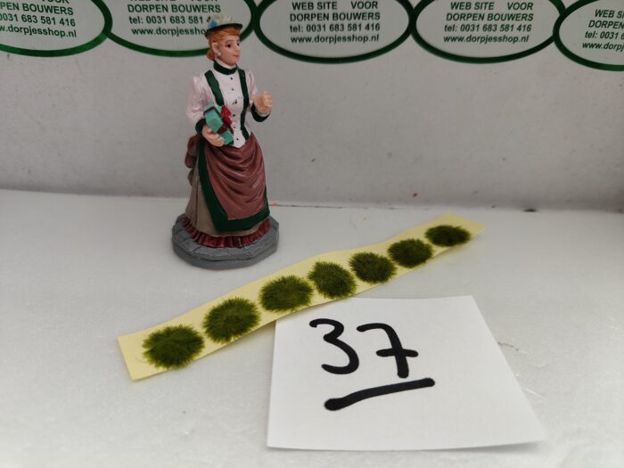 Foto 37 Graspolletje Licht groen - Afbeelding 1