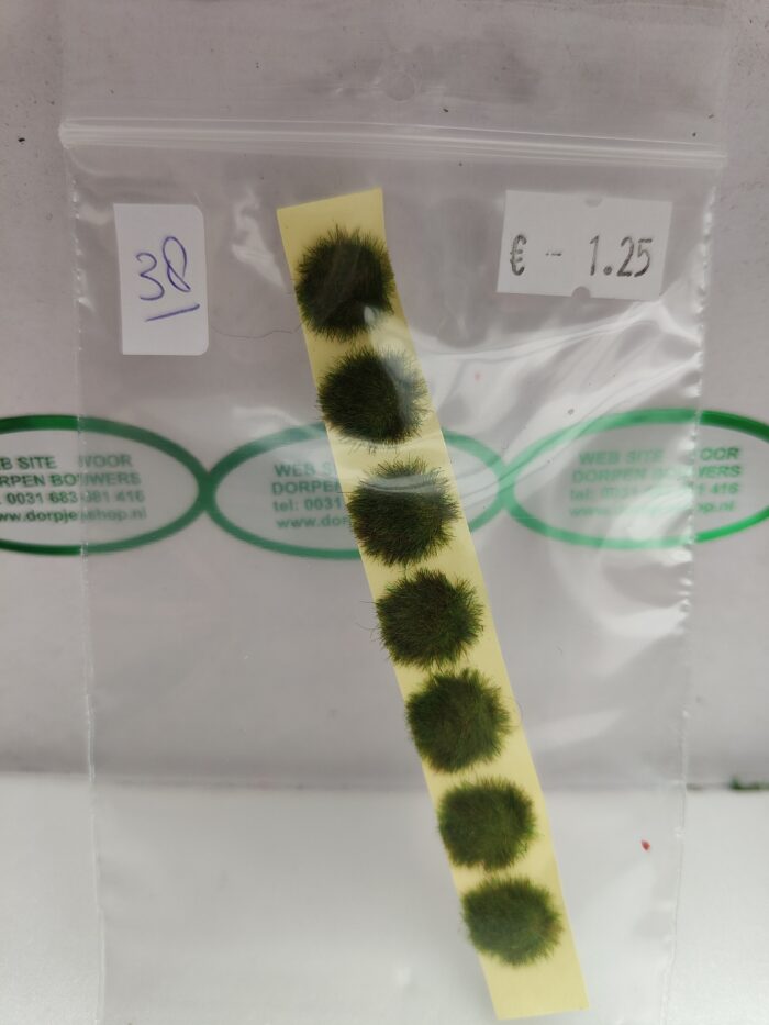 Foto 38 Graspolletje Donker groen - Afbeelding 2