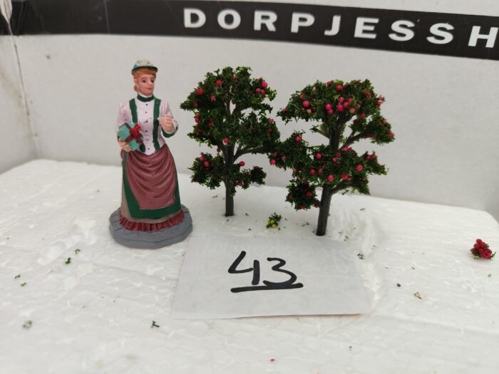 IMG20220618142214 Foto 43 Boompjes Kersen/Rood - Afbeelding 3