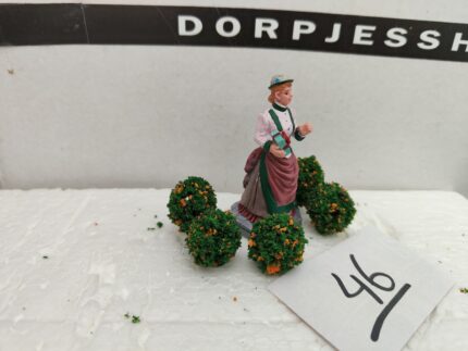 Foto 46 Bloembolletjes Bruin