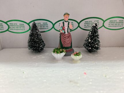 Foto 13 Sierpotjes rose