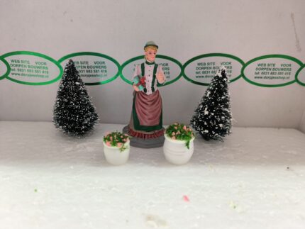 Foto 15 Bloempotjes Rose