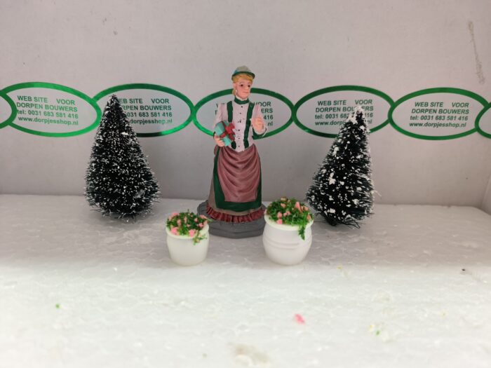 IMG20240402092646 Foto 15 Bloempotjes Rose - Afbeelding 1