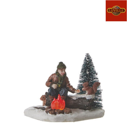 Luville  Forest campfire