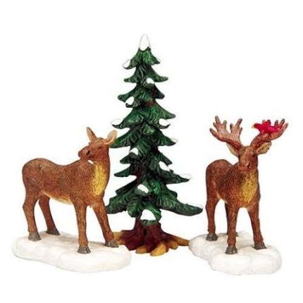 Mr. and Mrs. Moose