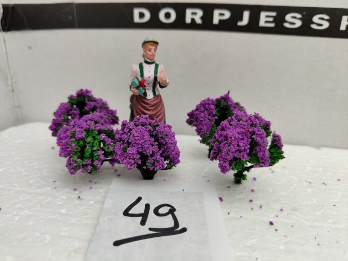 IMG20220705184225 Foto 49 Struikjes Paars klein - Afbeelding 1