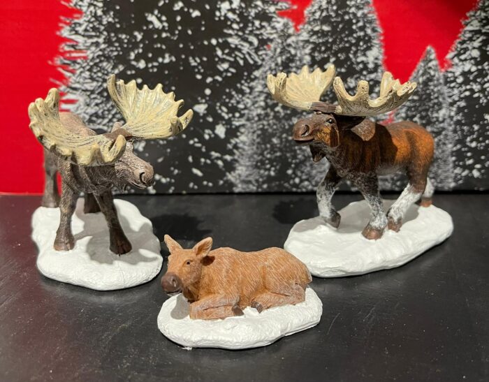 Moose - Afbeelding 2