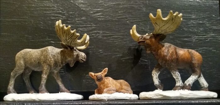 Moose - Afbeelding 3