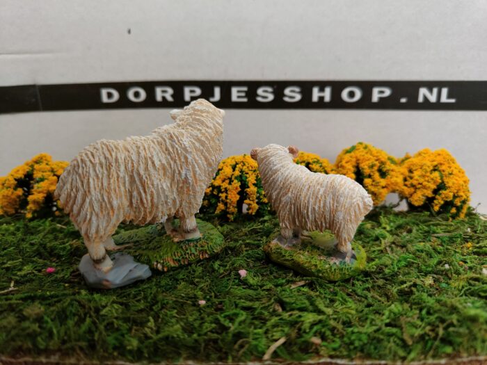 Schapen - Afbeelding 2