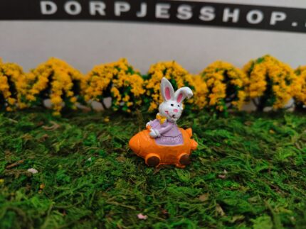 Konijn in wortelkarretje