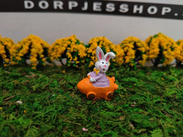 IMG20230219145004 Konijn in wortelkarretje - Afbeelding 1