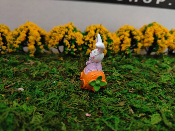 Konijn in wortelkarretje - Afbeelding 4