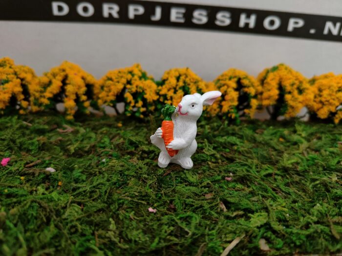 IMG20230219145121 Konijn met wortel - Afbeelding 1