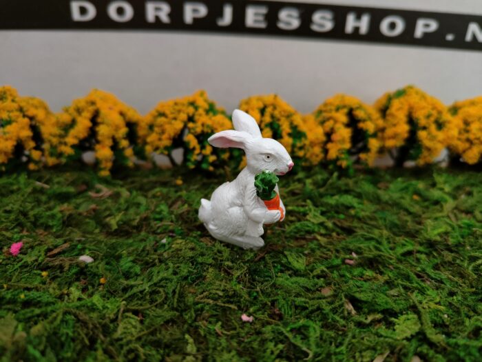 IMG20230219145130 Konijn met wortel - Afbeelding 2