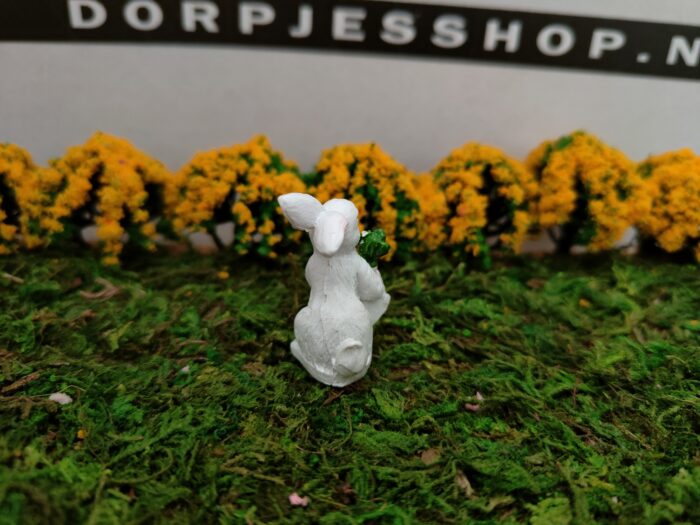 IMG20230219145139 Konijn met wortel - Afbeelding 3