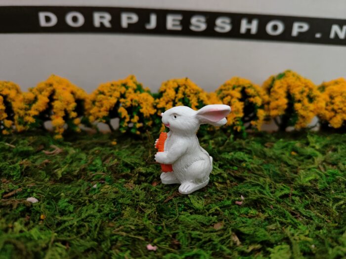 IMG20230219145150 Konijn met wortel - Afbeelding 4