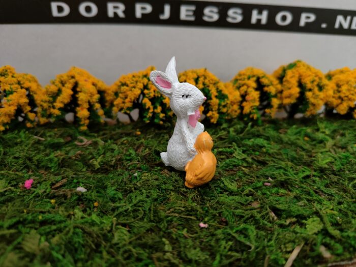 Wit konijn - Afbeelding 3