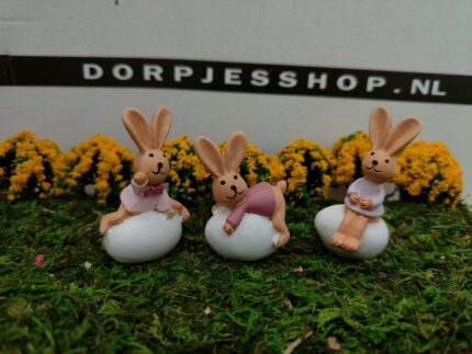Konijnen op ei set van 3