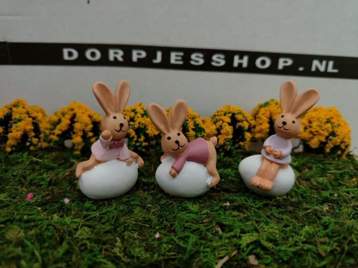 IMG20230219152705 Konijnen op ei set van 3 - Afbeelding 1