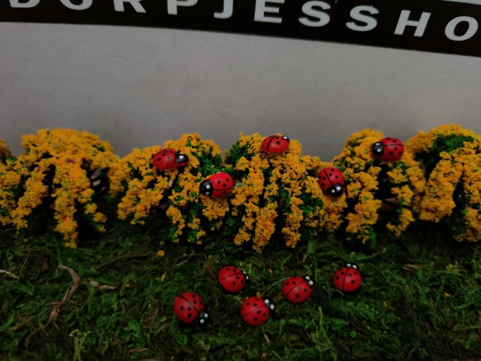 Lieveheersbeestjes - Afbeelding 2