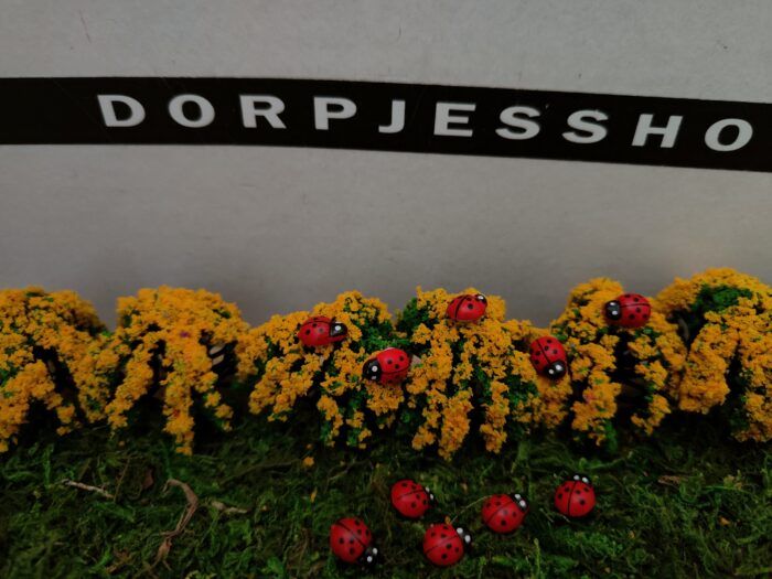 Lieveheersbeestjes - Afbeelding 3