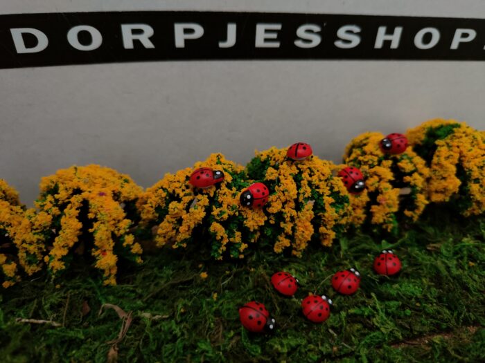 Lieveheersbeestjes - Afbeelding 4