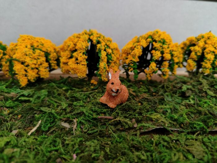 Bruin konijn (B) - Afbeelding 3