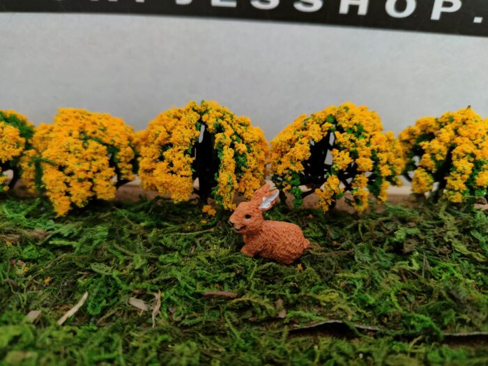 IMG20230303111731 Bruin konijn (B) - Afbeelding 1