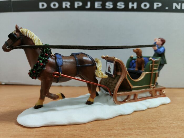 Man and dog on sled - Afbeelding 5