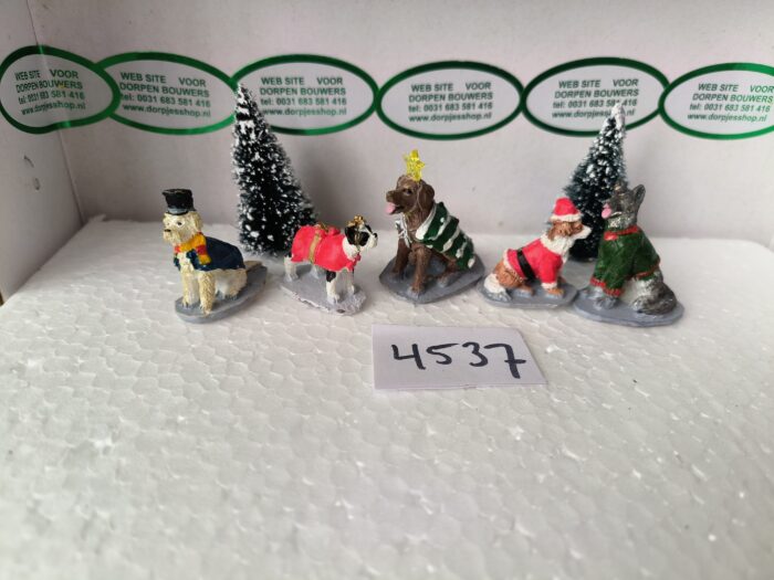 Foto 4537/21 Costumed Canines - Afbeelding 2