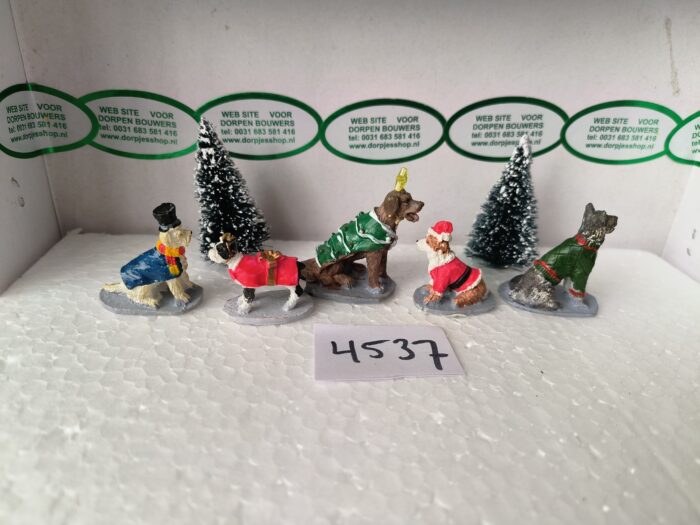 Foto 4537/21 Costumed Canines - Afbeelding 3