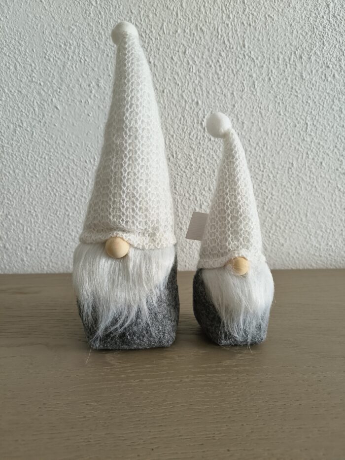 IMG20230806130520 Gnoom wit (C) - Afbeelding 1